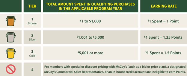 Loyalty Points Accrual Table
