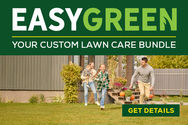 EasyGreen Fall