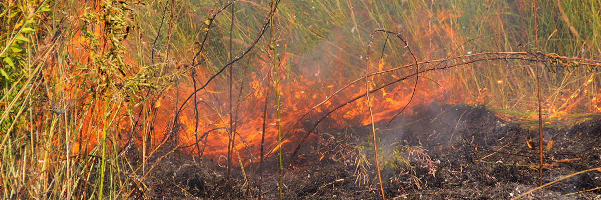 Wildfire Protection and Home Safety Tips