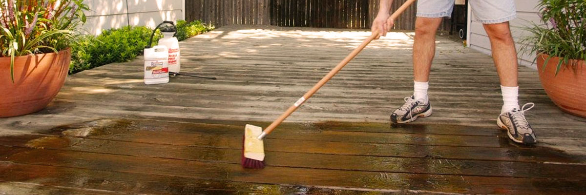 How Wood Shrinkage Affects Your Projects