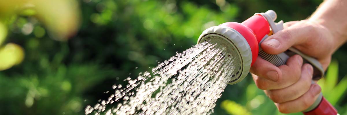 Tips for Picking the Best Garden Hose for Your Yard