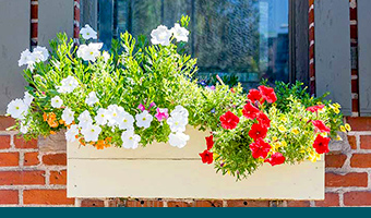 Build a DIY Planter Shelves