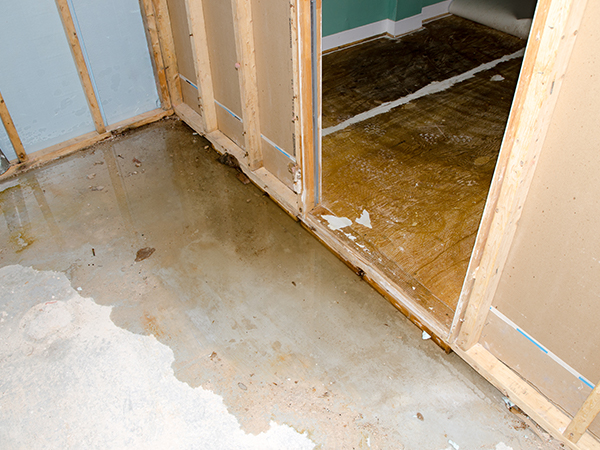 Flood Cleanup