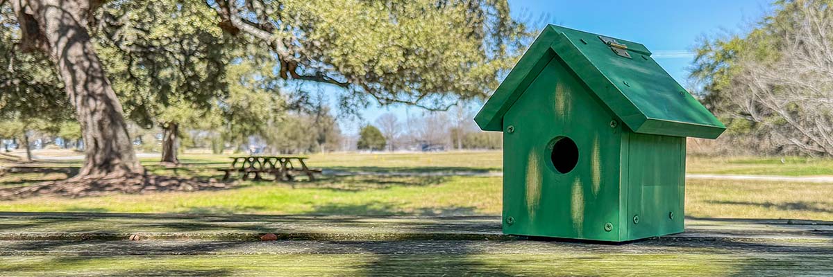 Weekend Project: Building a Birdhouse
