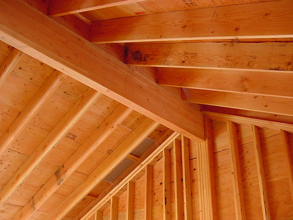 Glulams being used as an architectural base
