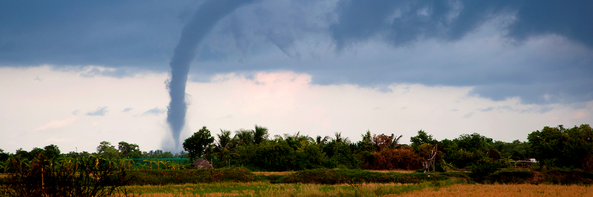 High Winds or Tornadoes: What You Can Do to Prep Your Home