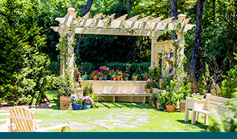 Build a DIY Arbor